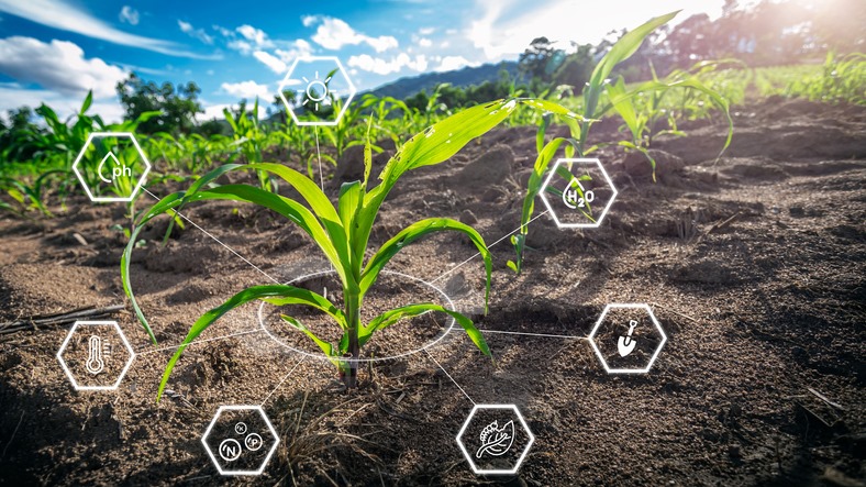 Agriculture IoT