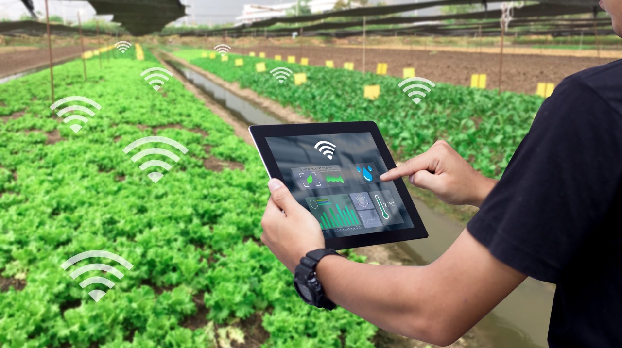 Smart farming & livestock monitoring